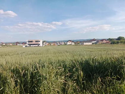 Đure Jakšića | 4zida.rs