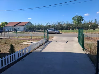 Miše Uboje 11 | 4zida.rs