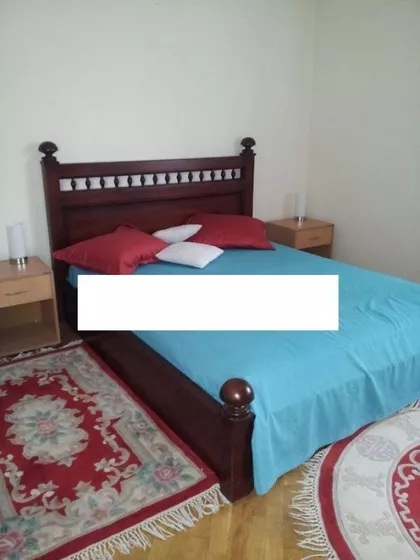 Petra Martinovića | 4zida.rs