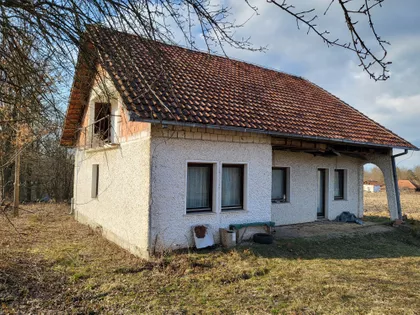 Ksenije Atanasijević | 4zida.rs