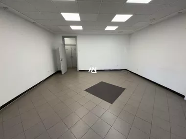 Vojvode Stepe