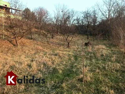 Bukovac | 4zida.rs