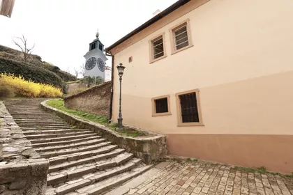 Petrovaradin | 4zida.rs