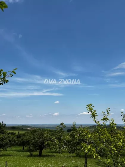 Čortanovci | 4zida.rs