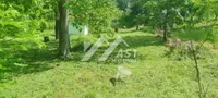 Čerević, Okolne lokacije, Beočin | 4zida.rs | 4zida.rs