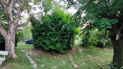 Trešnjinog Cveta 6 | 4zida.rs