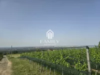 Rakovac, Okolne lokacije, Beočin | 4zida.rs