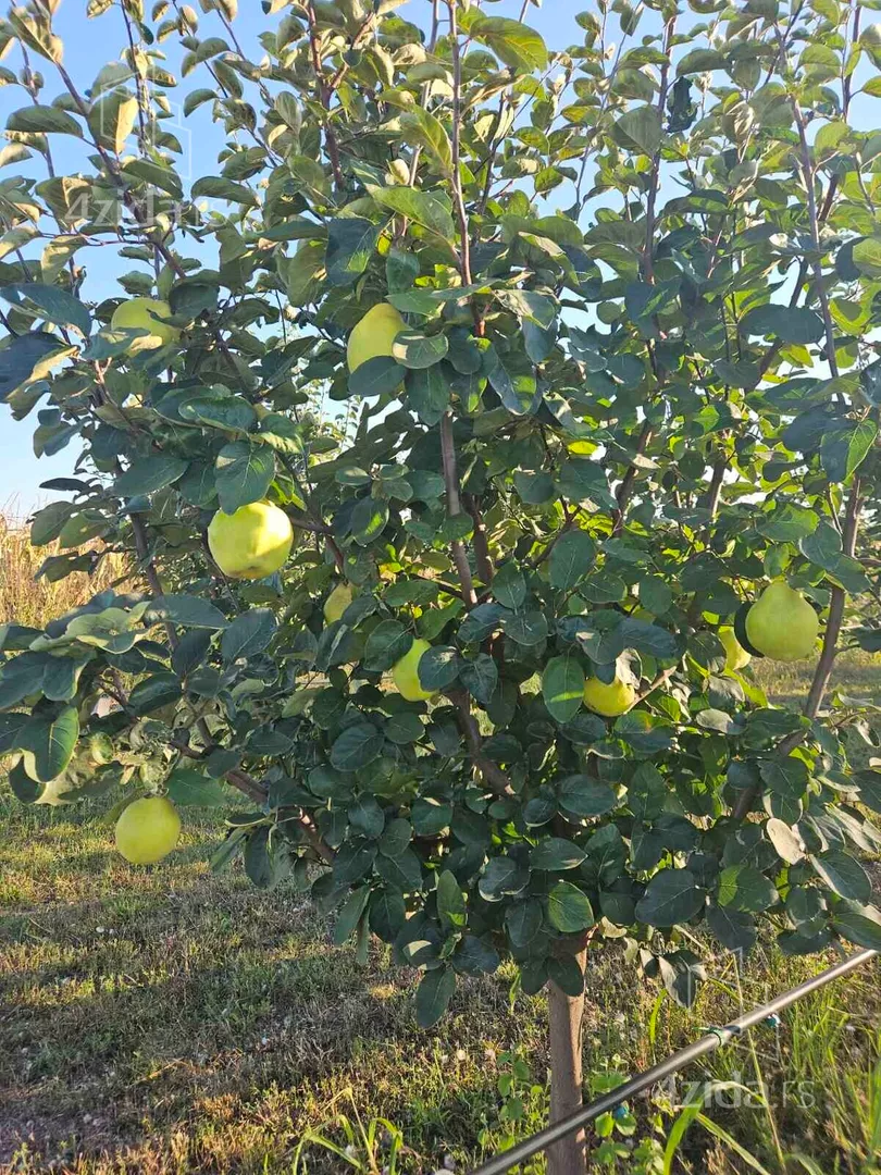 Poljoprivredno zemljište | 4zida