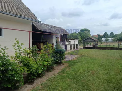 Gajdobra | 4zida.rs