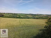 Draževac, Obrenovac opština, Beograd | 4zida.rs