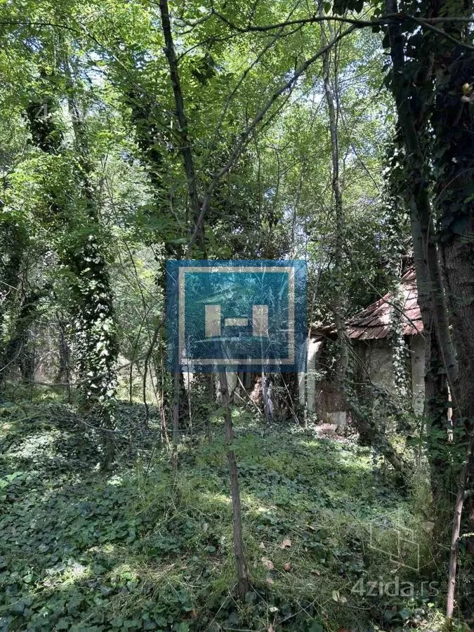 Plac | 4zida