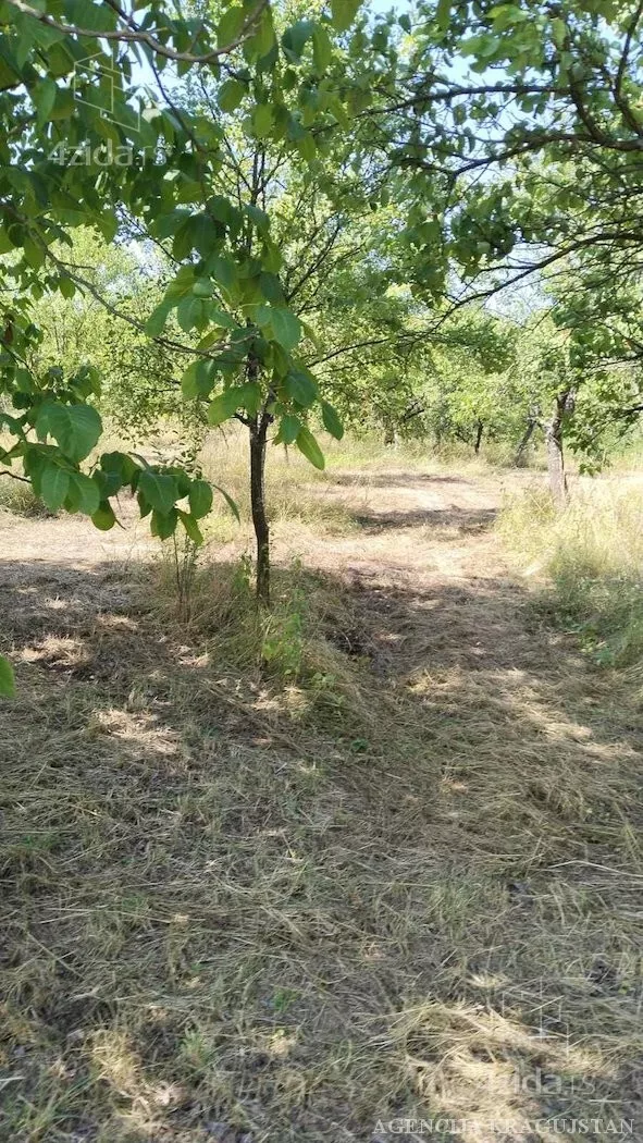 Plac | 4zida