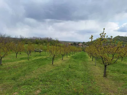 Gradske lokacije | 4zida.rs