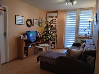 Đure Daničića | 4zida.rs