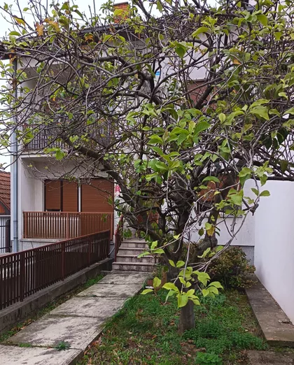 Erdoglija | 4zida.rs