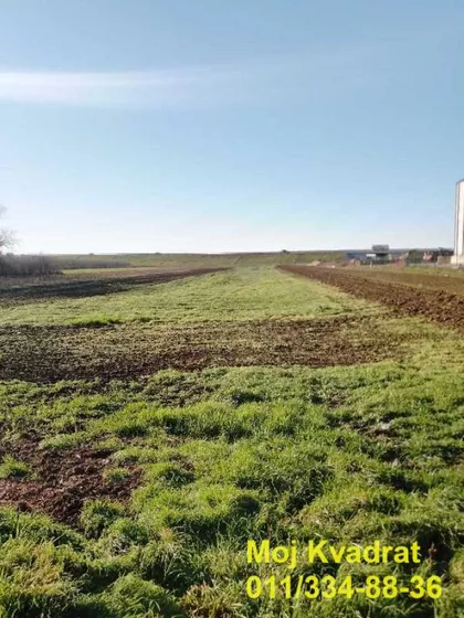 Boljevačka | 4zida.rs