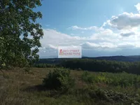 Plac | 4zida