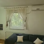Futoška, Gradske lokacije, Novi Sad | 4zida.rs | 4zida.rs