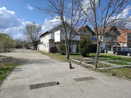 Temišvarski Drum Bb | 4zida.rs