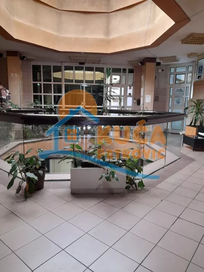 Cara Dušana | 4zida.rs