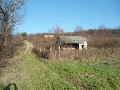 Orasje | 4zida.rs