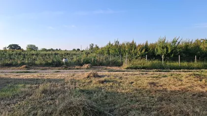 Kosmajska | 4zida.rs