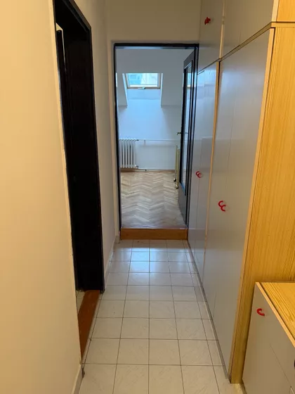 Rotkvarija | 4zida.rs