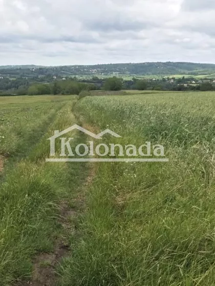 Dučina | 4zida.rs