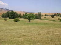 Okolne lokacije, Zlatibor | 4zida.rs
