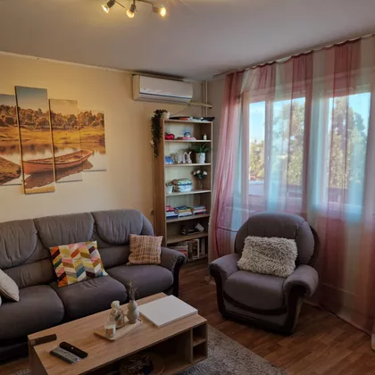 Janka Veselinovića | 4zida.rs