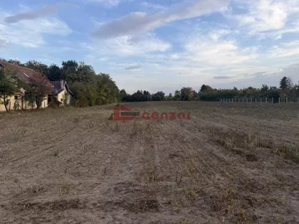 Palić | 4zida.rs