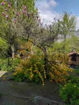 Beograd, Palilula opština, Karaburma | 4zida.rs | 4zida.rs