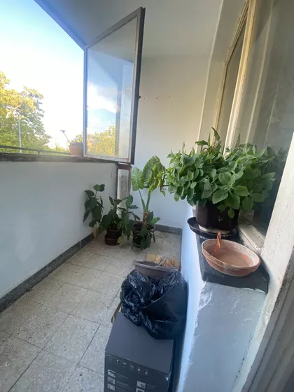 Pantelej | 4zida.rs