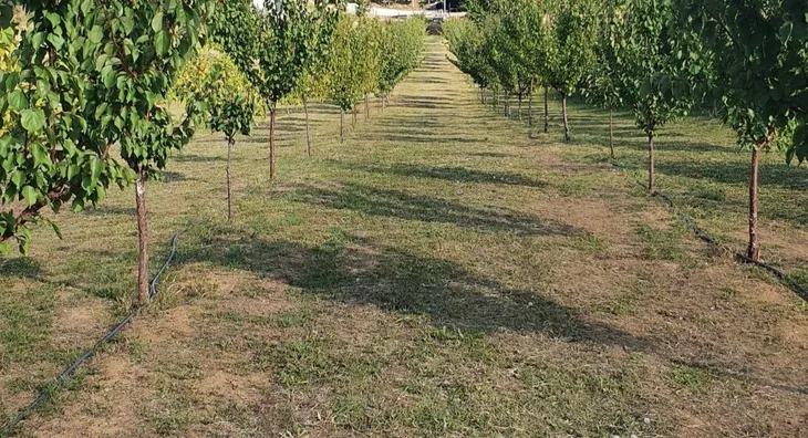 Poljoprivredno zemljište | 4zida