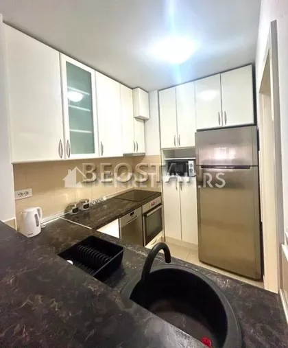 Dr Ivana Ribara | 4zida.rs