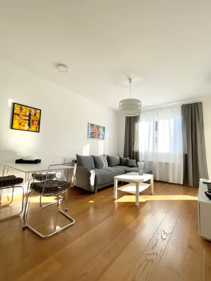 Zmaj Ognjena Vuka | 4zida.rs