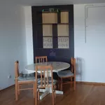 Novo Naselje, Gradske lokacije, Novi Sad | 4zida.rs | 4zida.rs