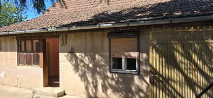 Pačir | 4zida.rs