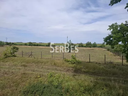 Čenej | 4zida.rs