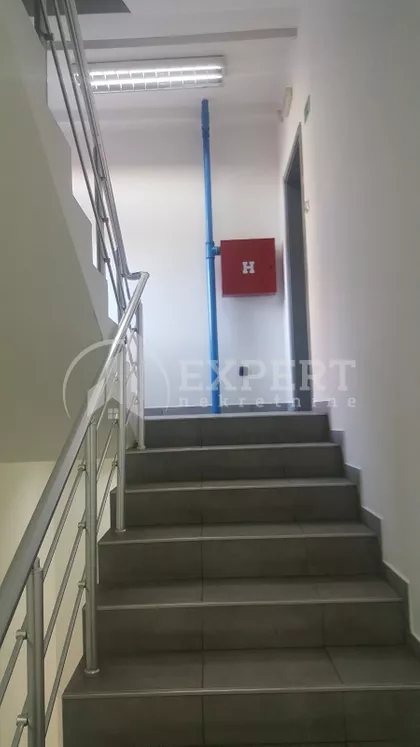 Kralja Stefana Prvovenčanog | 4zida.rs