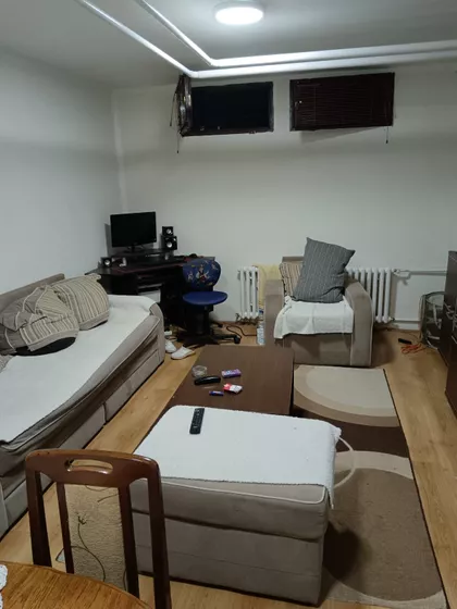 Dr Ivana Ribara | 4zida.rs