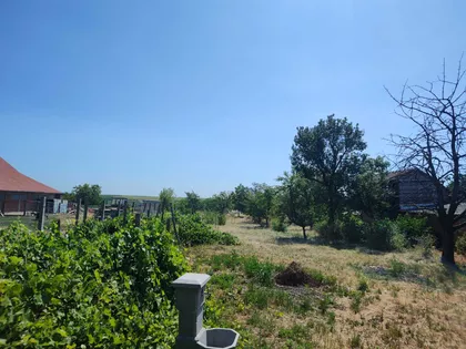 Fruškogorska | 4zida.rs