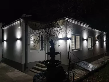 Bivolje