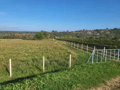 Gradske lokacije | 4zida.rs