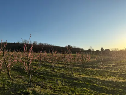 Udovički Prokop BB | 4zida.rs