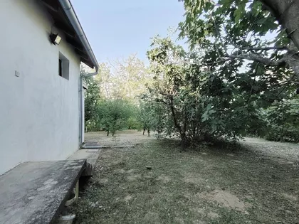 Kralja Petra | 4zida.rs