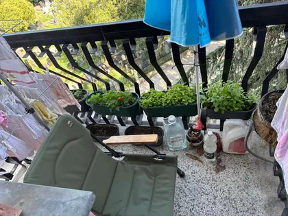 Episkopa Save | 4zida.rs