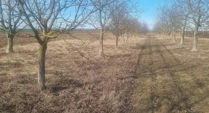 Poljoprivredno zemljište | 4zida