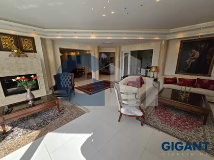 Miće Orlovića | 4zida.rs