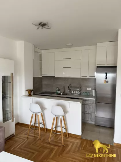 VESELINA MASLEŠE | 4zida.rs